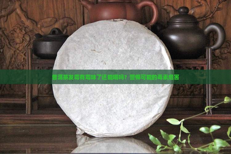 普洱茶发霉有霉味了还能喝吗?警惕可能的毒素危害 普洱茶发霉有霉味了还能喝吗?警惕可能的毒素危害