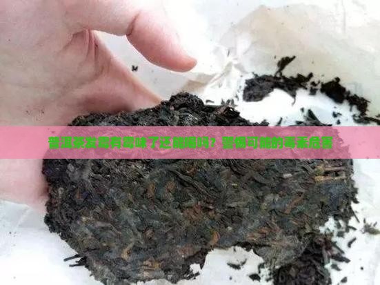 普洱茶发霉有霉味了还能喝吗?警惕可能的毒素危害 普洱茶发霉有霉味了还能喝吗?警惕可能的毒素危害
