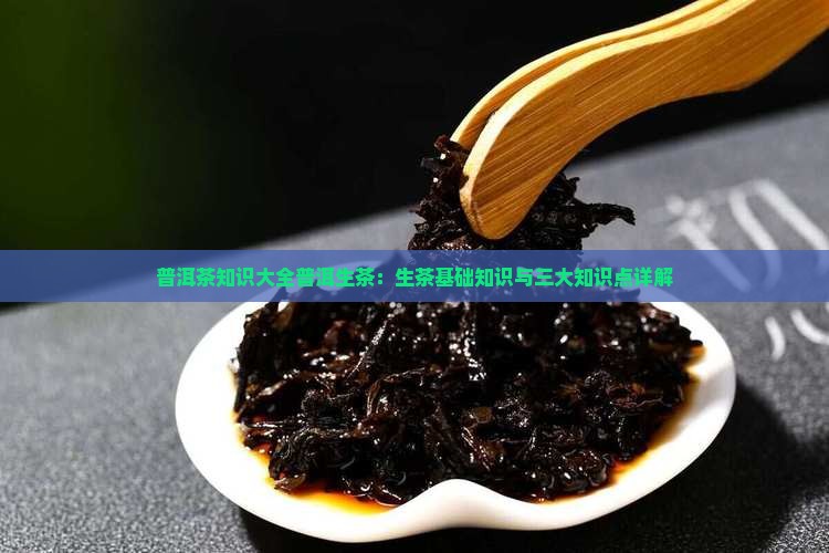 普洱茶知识大全普洱生茶：生茶基础知识与三大知识点详解