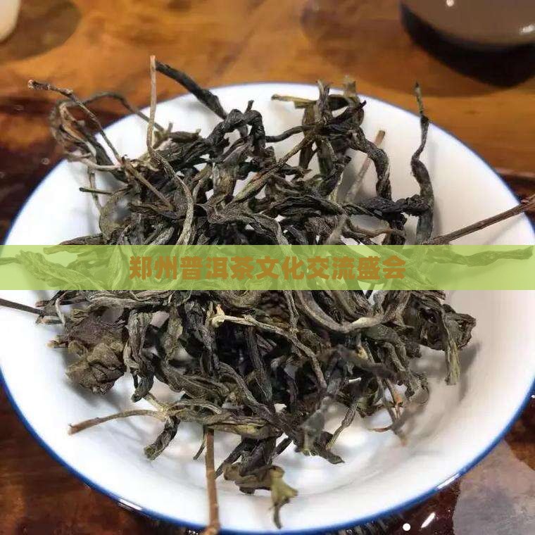 郑州普洱茶文化交流盛会