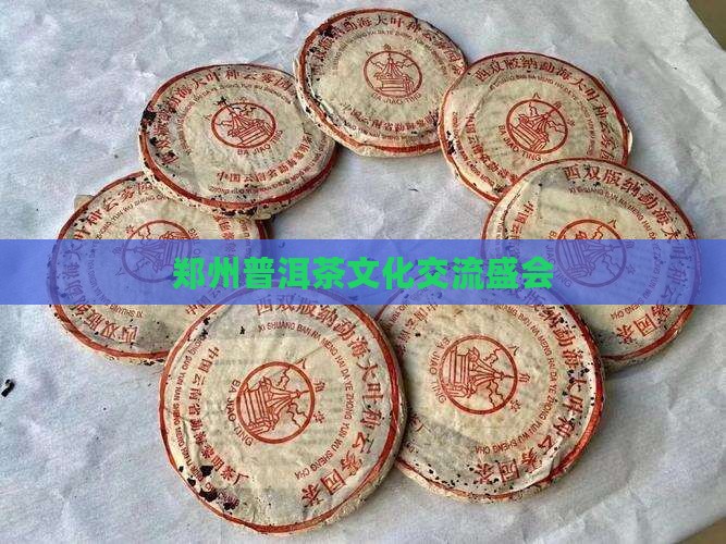 郑州普洱茶文化交流盛会