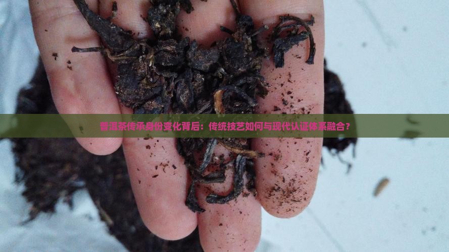 普洱茶传承身份变化背后：传统技艺如何与现代认证体系融合？