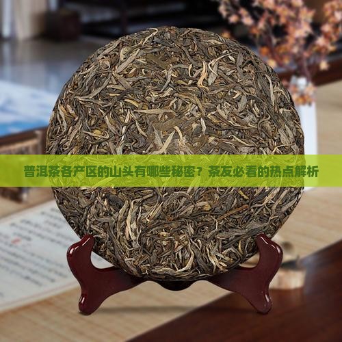 普洱茶各产区的山头有哪些秘密？茶友必看的热点解析