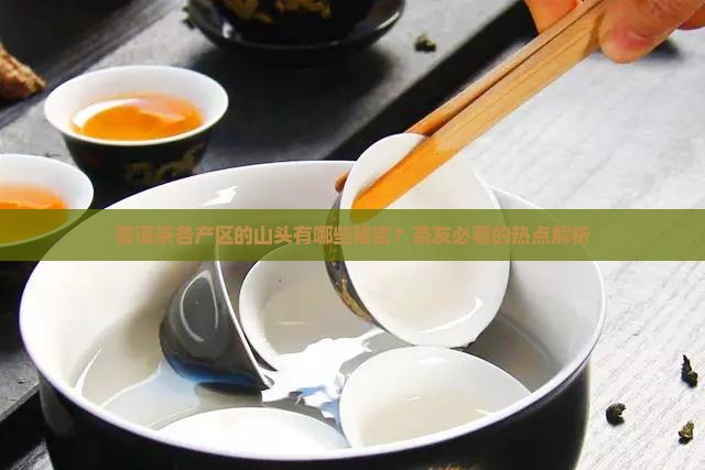 普洱茶各产区的山头有哪些秘密？茶友必看的热点解析