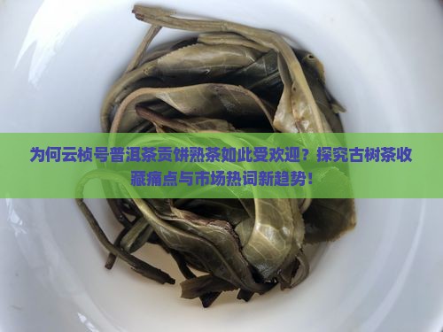 为何云桢号普洱茶贡饼熟茶如此受欢迎？探究古树茶收藏痛点与市场热词新趋势！