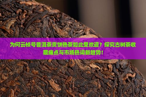 为何云桢号普洱茶贡饼熟茶如此受欢迎？探究古树茶收藏痛点与市场热词新趋势！