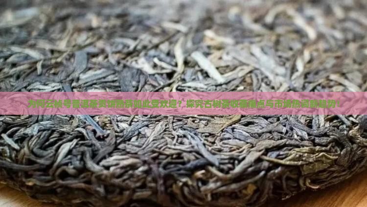 为何云桢号普洱茶贡饼熟茶如此受欢迎？探究古树茶收藏痛点与市场热词新趋势！