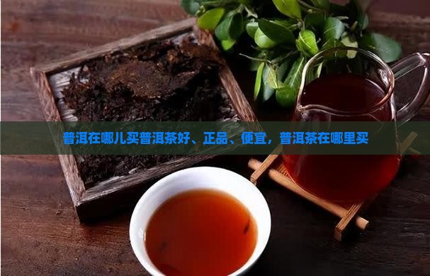 普洱在哪儿买普洱茶好、正品、便宜，普洱茶在哪里买