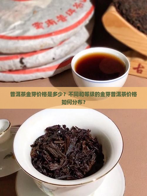 普洱茶金芽价格是多少？不同和等级的金芽普洱茶价格如何分布？