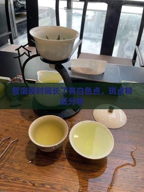 普洱茶时间长了有白色点，斑点特征分析