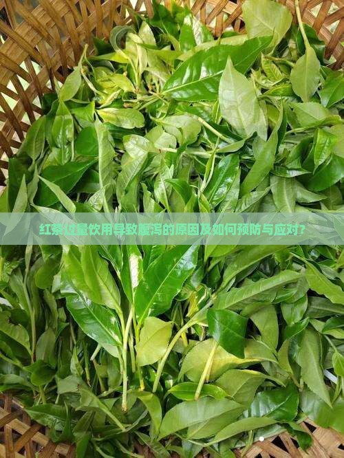 红茶过量饮用导致腹泻的原因及如何预防与应对？