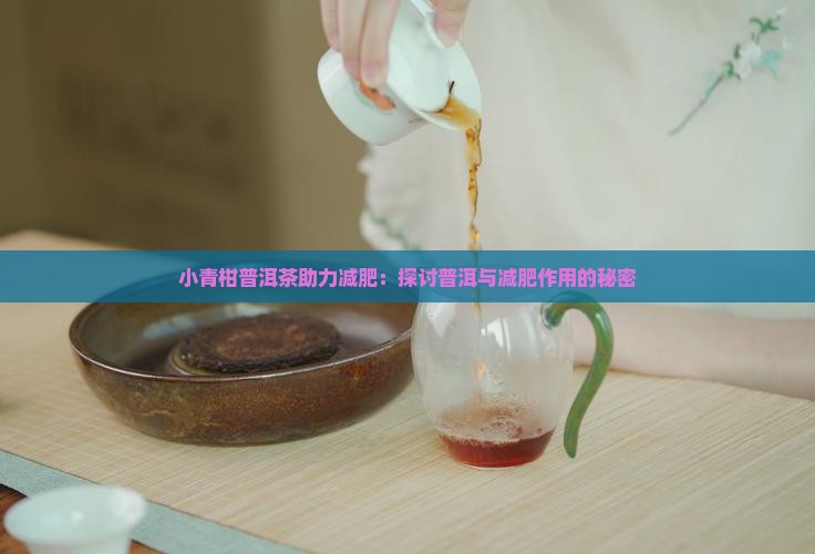 小青柑普洱茶助力减肥：探讨普洱与减肥作用的秘密