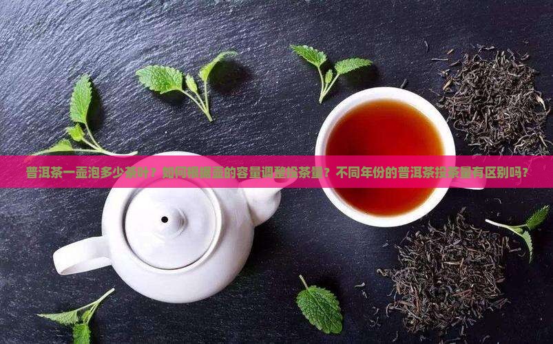 普洱茶一壶泡多少茶叶？如何根据壶的容量调整投茶量？不同年份的普洱茶投茶量有区别吗？