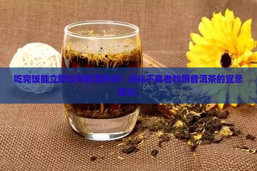 吃完饭能立即饮用普洱茶吗？消化不良者饮用普洱茶的宜忌探讨。