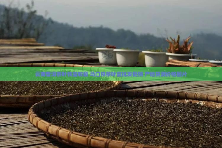云南普洱茶叶铁盒收藏 马口铁茶叶盒批发促销 产地货源价格图片