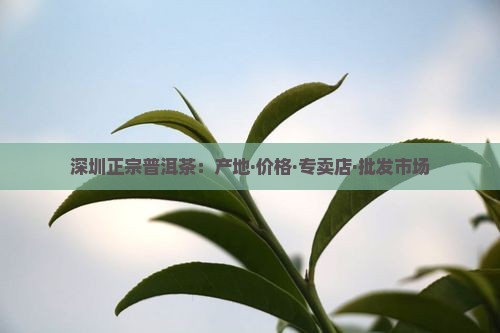 深圳正宗普洱茶：产地·价格·专卖店·批发市场