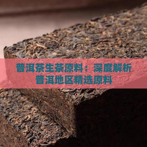 普洱茶生茶原料：深度解析普洱地区精选原料
