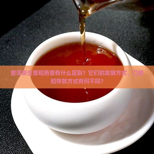 普洱茶生普和熟普有什么区别？它们的发酵方式、口感和存放方式有何不同？