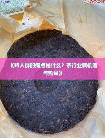 《购人群的痛点是什么？茶行业新机遇与热词》