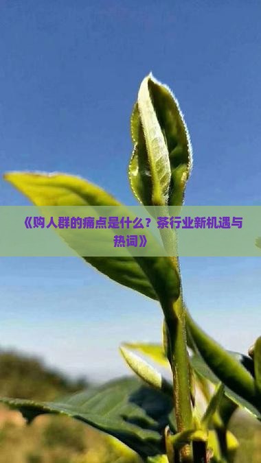 《购人群的痛点是什么？茶行业新机遇与热词》