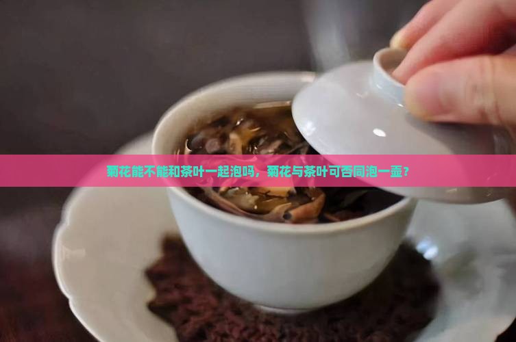 菊花能不能和茶叶一起泡吗，菊花与茶叶可否同泡一壶？