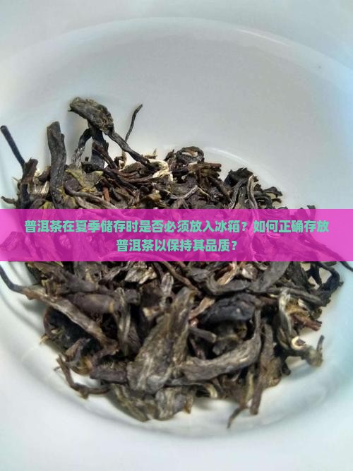 普洱茶在夏季储存时是否必须放入冰箱？如何正确存放普洱茶以保持其品质？