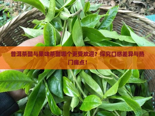 普洱茶醋与果味茶醋哪个更受欢迎？探究口感差异与热门痛点！