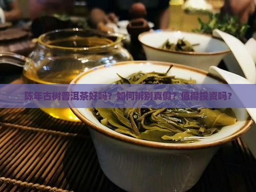 陈年古树普洱茶好吗？如何辨别真假？值得投资吗？