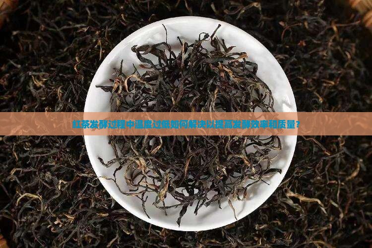 红茶发酵过程中温度过低如何解决以提高发酵效率和质量？