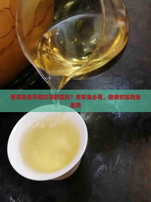 普洱茶金芽和红茶的区别？老茶鬼必看，健康饮品新宠差异