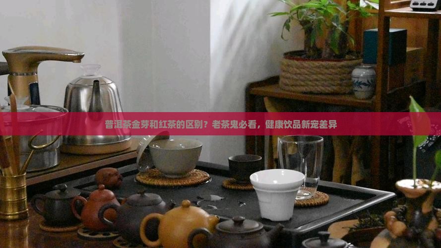普洱茶金芽和红茶的区别？老茶鬼必看，健康饮品新宠差异