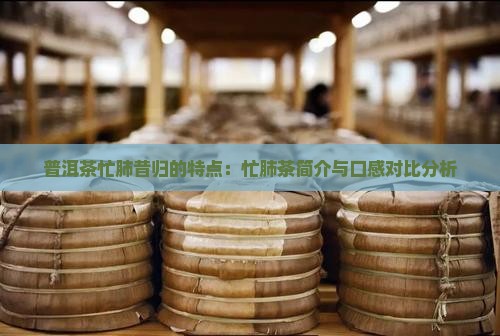 普洱茶忙肺昔归的特点：忙肺茶简介与口感对比分析