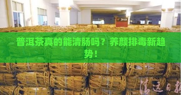 普洱茶真的能清肠吗?养颜排毒新趋势! 普洱茶真的能清肠吗?养颜排毒新趋势!