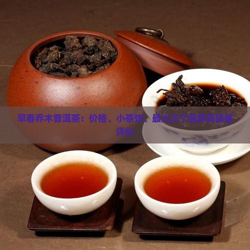 早春乔木普洱茶：价格、小茶饼、最火三个品种及品鉴评价