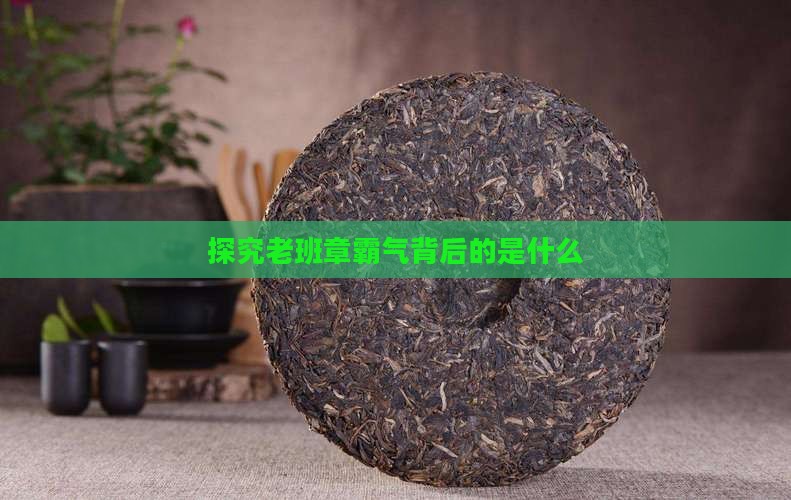 探究老班章霸气背后的是什么