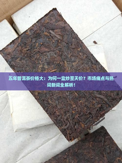 五年普洱茶价格大：为何一盒炒至天价？市场痛点与热词新词全解析！