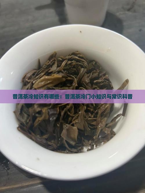 普洱茶冷知识有哪些：普洱茶冷门小知识与常识科普
