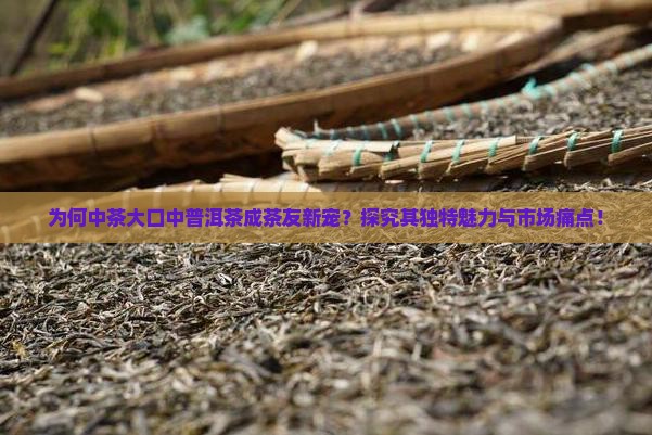 为何中茶大口中普洱茶成茶友新宠？探究其独特魅力与市场痛点！