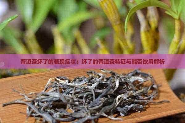 普洱茶坏了的表现症状：坏了的普洱茶特征与能否饮用解析