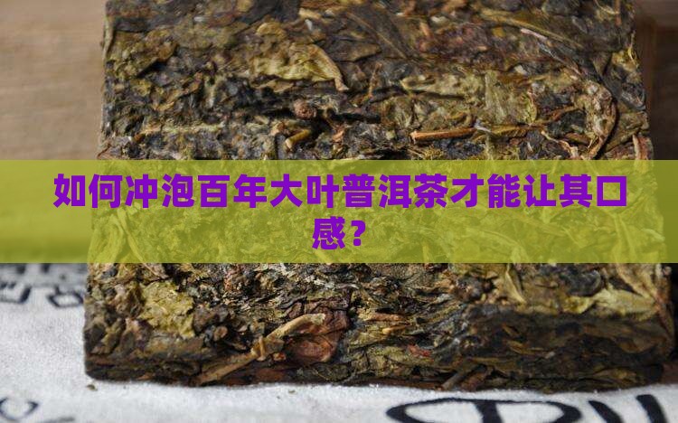 如何冲泡百年大叶普洱茶才能让其口感？