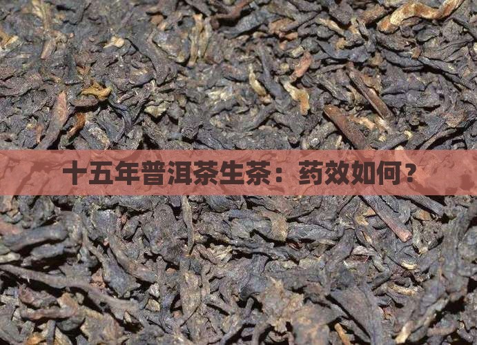 十五年普洱茶生茶：药效如何？