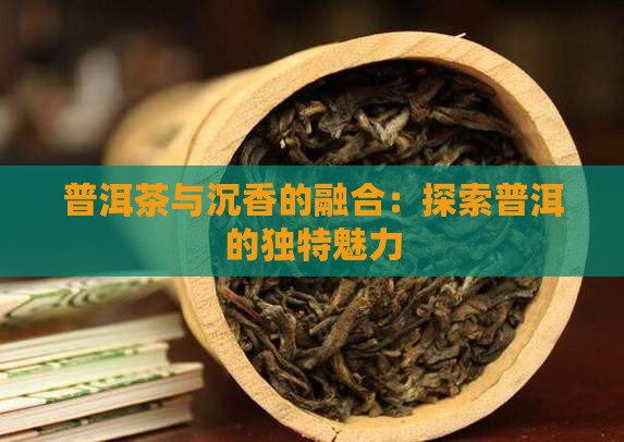普洱茶与沉香的融合：探索普洱的独特魅力