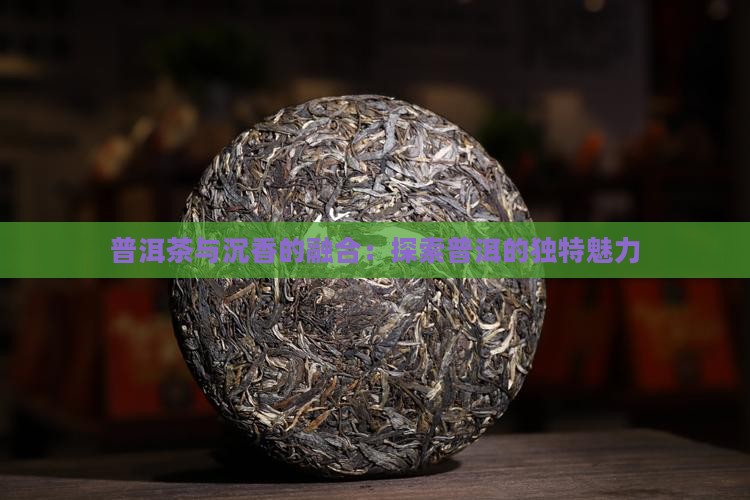 普洱茶与沉香的融合：探索普洱的独特魅力