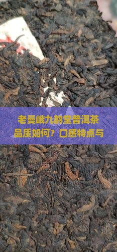 老曼峨九韵堂普洱茶品质如何？口感特点与选购指南是什么？
