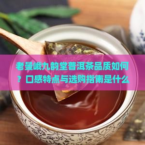 老曼峨九韵堂普洱茶品质如何？口感特点与选购指南是什么？