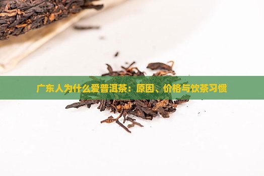 广东人为什么爱普洱茶：原因、价格与饮茶习惯