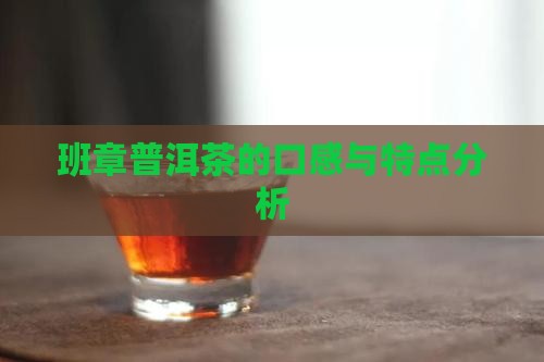 班章普洱茶的口感与特点分析