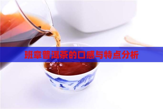 班章普洱茶的口感与特点分析
