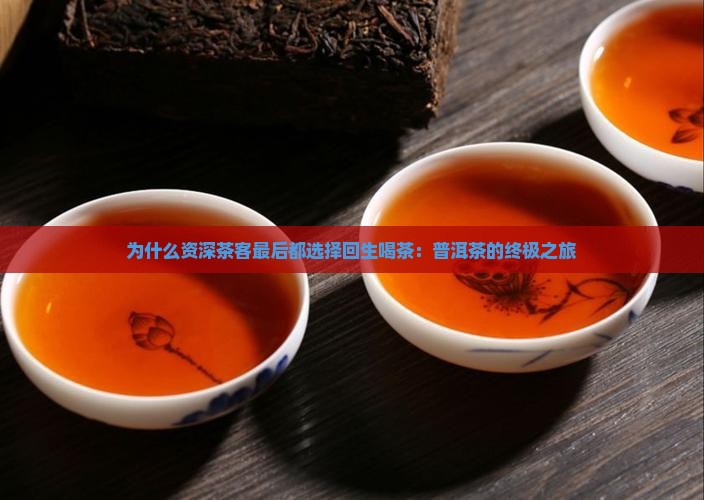 为什么资深茶客最后都选择回生喝茶：普洱茶的终极之旅