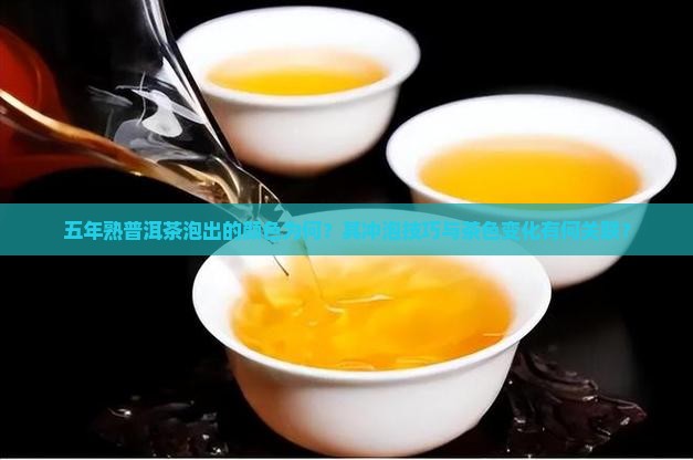五年熟普洱茶泡出的颜色为何？其冲泡技巧与茶色变化有何关联？
